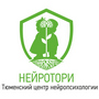 Нейротори Нейротори